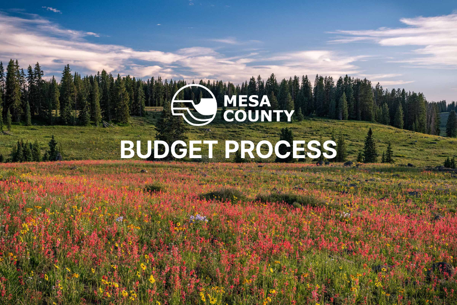 Photo of a field of red and yellow wildflowers on the Grand Mesa with pine trees, blue skies and clouds in the background. The Mesa County logo and words “budget process” appear in white on the photo.