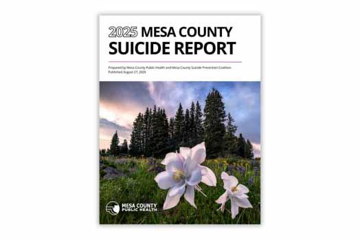 Mesa County Suicide report cover with pine trees and columbines 